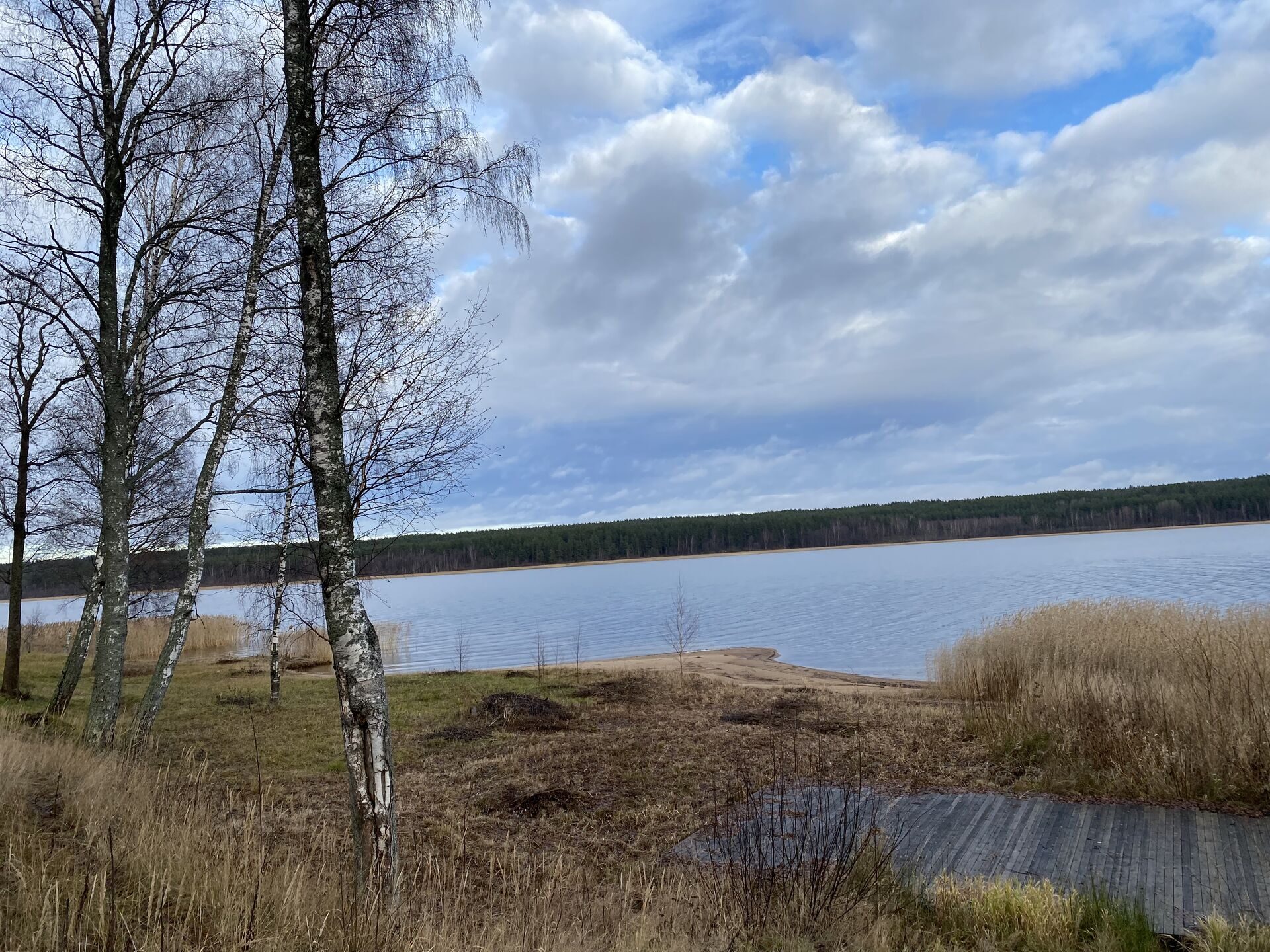 Приозерский Район Купить